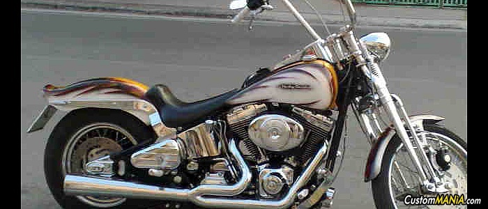 harley-davidson-softail-fxsts-springer