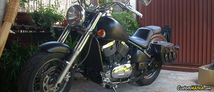 kawasaki-vn-800-classic