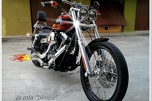 harley-davidson-dyna-fxdwg-wide-glide