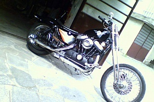 harley-davidson-sportster-xl883c-custom