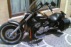 harley-davidson-v-rod-vrsca