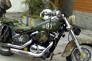 kawasaki-vn-800-classic