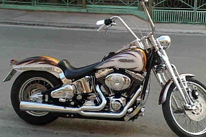 harley-davidson-softail-fxsts-springer