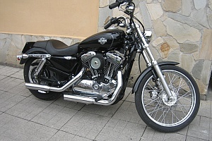 harley-davidson-sportster-xl883c-custom