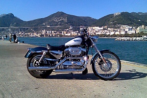 harley-davidson-sportster-xl883c-custom