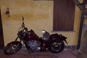 honda-vt-600-shadow