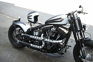 harley-davidson-softail-flstsb-cross-bones