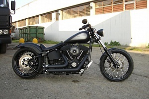 Night train store bobber