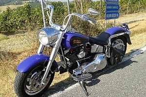 harley-davidson-softail-flstf-fat-boy