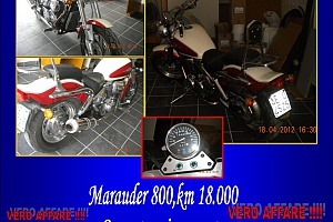 suzuki-marauder-800