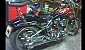 harley-davidson-softail-fxstc-custom