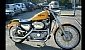 harley-davidson-sportster-xl883c-custom