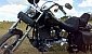 harley-davidson-softail-fxstc-custom