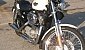 harley-davidson-sportster-xl883c-custom