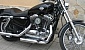 harley-davidson-sportster-xl883c-custom