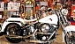 harley-davidson-softail-fxstc-custom