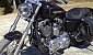 harley-davidson-sportster-xl883c-custom