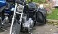 harley-davidson-sportster-xl883c-custom