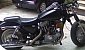 harley-davidson-sportster-xl883c-custom