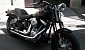 harley-davidson-softail-flstsb-cross-bones