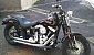 harley-davidson-softail-flstsb-cross-bones