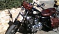 harley-davidson-sportster-xl883c-custom