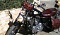 harley-davidson-sportster-xl883c-custom