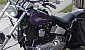 harley-davidson-softail-fxstc-custom