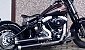 harley-davidson-softail-flstsb-cross-bones