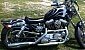 harley-davidson-sportster-xl883c-custom